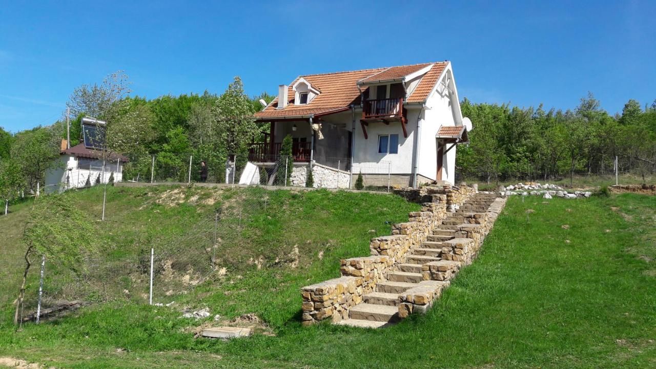 Дома для отпуска Casa Vladimir Cucuceni